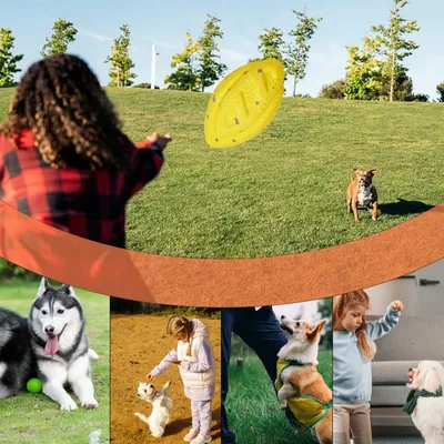 FurryFusion Jouets solides pour grands chiens boule frisbee anneau FurryFusion Jouets solides pour grands chiens boule frisbee anneau
