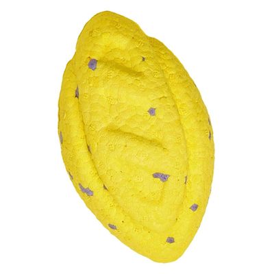 FurryFusion Jouets solides pour grands chiens boule frisbee anneau