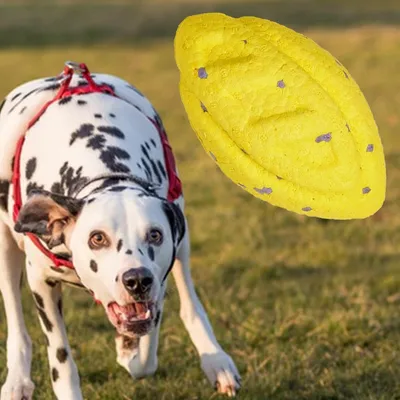 FurryFusion Jouets solides pour grands chiens boule frisbee anneau FurryFusion Jouets solides pour grands chiens boule frisbee anneau