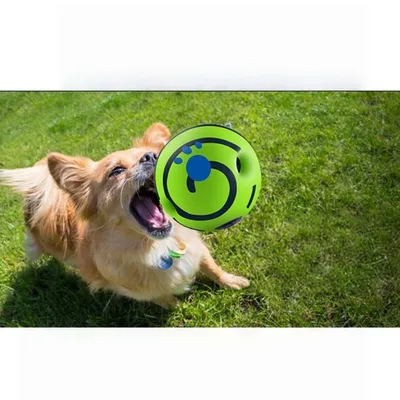 FurryFusion Balle amusante pour chiens