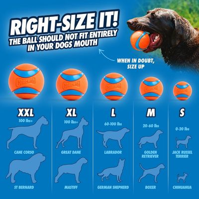 Applicable à Chuckit Lot 2 Ultra Ball taille M 2,5 pouces caoutchouc