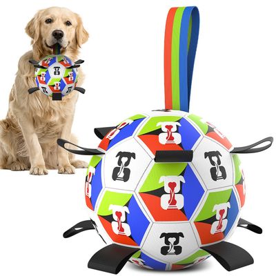 Pawffee Ballon de football interactif pour chien