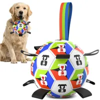 Pawffee Fútbol interactivo para perros