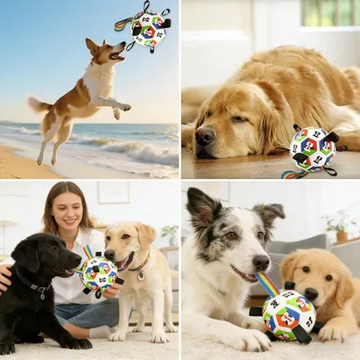 Pawffee Ballon de football interactif pour chien