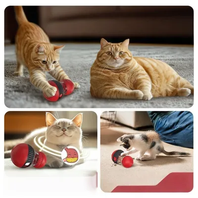 FurryFusion Balle à nourriture sonore pour chats FurryFusion Balle à nourriture sonore pour chats
