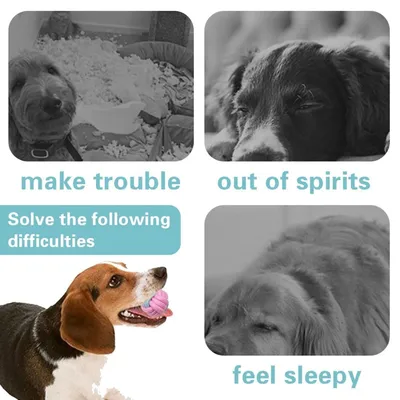 PetTribes Jouet pour Chien Balles à Mâcher Tressées PetTribes Jouet pour Chien Balles à Mâcher Tressées