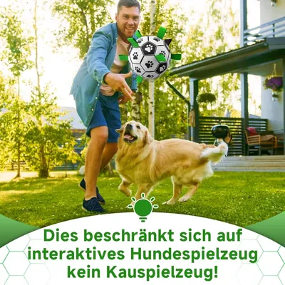 Zoomtopia Balle pour chien avec poignée 20cm grand chien vert Zoomtopia Balle pour chien avec poignée 20cm grand chien vert