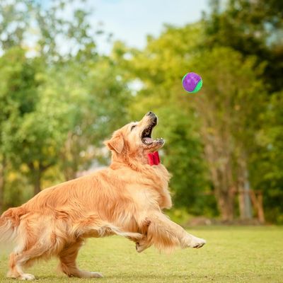 ZooVenture Pelotas chirriantes para perros - Goma, 3 unidades