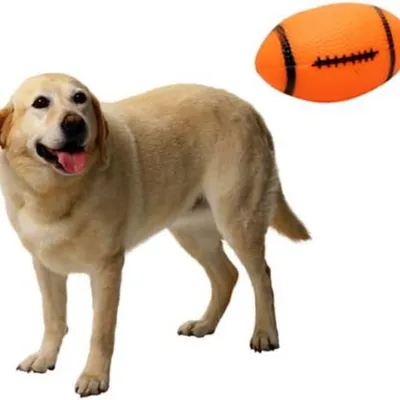 HausPets Petit jouet couineur en caoutchouc pour chien Orange HausPets Petit jouet couineur en caoutchouc pour chien Orange