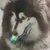 FurryFusion Jouet en forme de bouteille sonore pour chiens