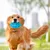 FurryFusion Ballon de rugby en caoutchouc sonore pour chiens