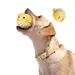 FurryFusion Springender Fisch Hunde-Ablenkungsspielzeug