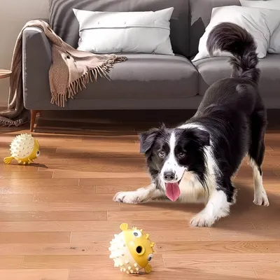 FurryFusion Jouet de distraction pour chien en forme de poisson sauteur