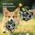Pawffee Balle interactive pour chien Pawffee Balle interactive pour chien