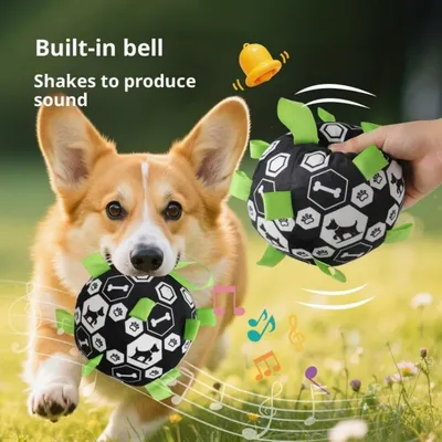 Pawffee Balle interactive pour chien Pawffee Balle interactive pour chien