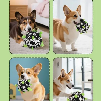 Pawffee Balle interactive pour chien Pawffee Balle interactive pour chien