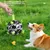 Pawffee Balle interactive pour chien Pawffee Balle interactive pour chien