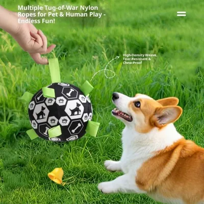 Pawffee Balle interactive pour chien Pawffee Balle interactive pour chien