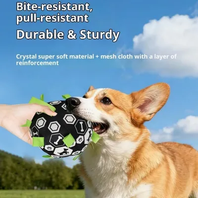Pawffee Balle interactive pour chien Pawffee Balle interactive pour chien