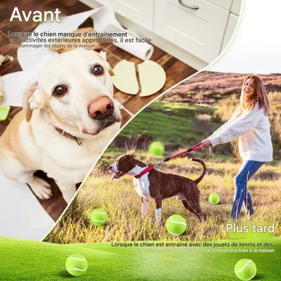 FurryFusion Balle élastique pour chiens résistante à la morsure FurryFusion Balle élastique pour chiens résistante à la morsure
