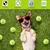 FurryFusion Balle élastique pour chiens résistante à la morsure FurryFusion Balle élastique pour chiens résistante à la morsure