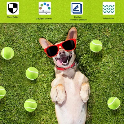 FurryFusion Balle élastique pour chiens résistante à la morsure FurryFusion Balle élastique pour chiens résistante à la morsure