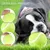 FurryFusion Balle élastique pour chiens résistante à la morsure FurryFusion Balle élastique pour chiens résistante à la morsure