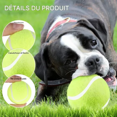 FurryFusion Balle élastique pour chiens résistante à la morsure FurryFusion Balle élastique pour chiens résistante à la morsure