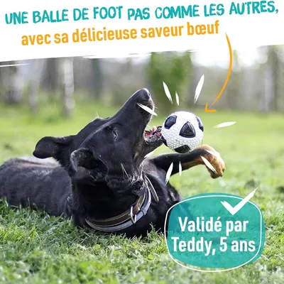 MCBOSON Jouet chat suspendu recharge USB résistant aux rayures