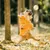 FurryFusion Boule à mordre haute résilience pour chien FurryFusion Boule à mordre haute résilience pour chien