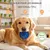 FurryFusion Balle ludique pour chien FurryFusion Balle ludique pour chien