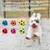 ZooVenture Lot 6 Balles Latex Chien Couleurs