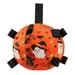 FurryFusion Halloween-Hundeballon, robust und quietschig