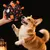 FurryFusion Ballon d'Halloween pour chiens, résistant et sonore FurryFusion Ballon d'Halloween pour chiens, résistant et sonore