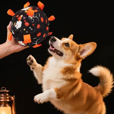 FurryFusion Ballon d'Halloween pour chiens, résistant et sonore FurryFusion Ballon d'Halloween pour chiens, résistant et sonore