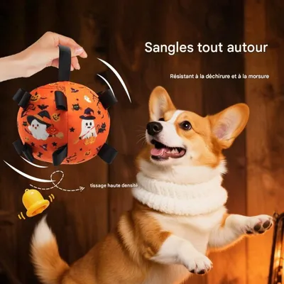FurryFusion Ballon d'Halloween pour chiens, résistant et sonore FurryFusion Ballon d'Halloween pour chiens, résistant et sonore