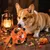 FurryFusion Ballon d'Halloween pour chiens, résistant et sonore FurryFusion Ballon d'Halloween pour chiens, résistant et sonore