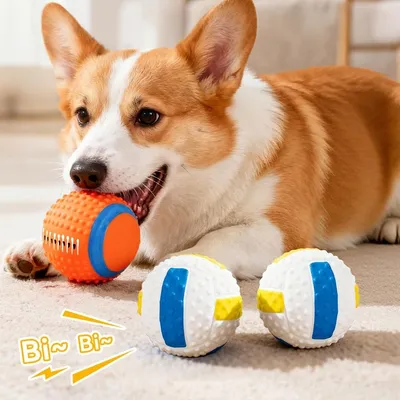 ZooVenture Balle Latex Chien Volley Rugby 2P