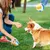 ZooVenture Balle Latex Chien Volley Rugby 2P