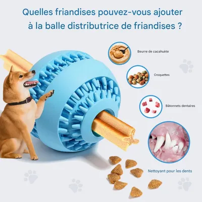 FurryFusion Balle à friandises en caoutchouc naturel pour chiens moyens