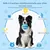 FurryFusion Balle à friandises en caoutchouc naturel pour chiens moyens