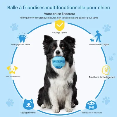 FurryFusion Balle à friandises en caoutchouc naturel pour chiens moyens