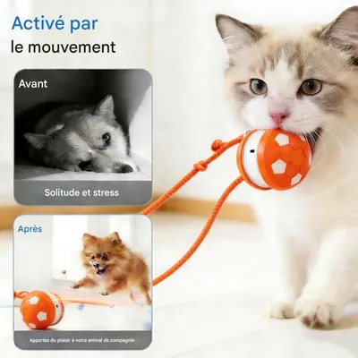 FurryFusion Balle de jeu résistante pour chien et chat FurryFusion Balle de jeu résistante pour chien et chat