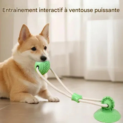 FurryFusion Jouet pour chien, boule à friandises indéfectible FurryFusion Jouet pour chien, boule à friandises indéfectible
