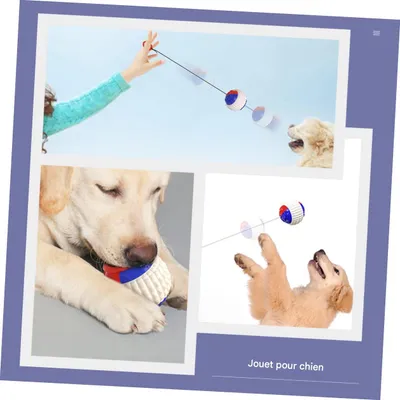 FurryFusion Balle à lancer et bâtonnet de mordillage pour chien FurryFusion Balle à lancer et bâtonnet de mordillage pour chien