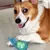 FurryFusion Jouet en forme de bouteille sonore pour chiens FurryFusion Jouet en forme de bouteille sonore pour chiens