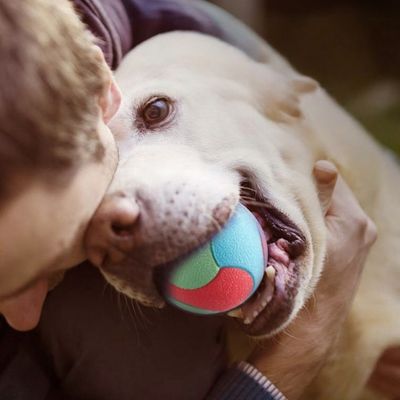 FurryFusion Balle de jouet pour chiens et chats