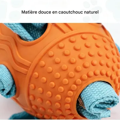 FurryFusion Nappe d'odorat pour chiens FurryFusion Nappe d'odorat pour chiens