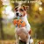 FurryFusion Nappe d'odorat pour chiens FurryFusion Nappe d'odorat pour chiens