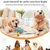 FurryFusion Nappe d'odorat pour chiens FurryFusion Nappe d'odorat pour chiens